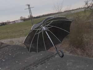 Umbrella 3D 模型