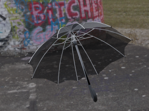 Umbrella 3D 모델