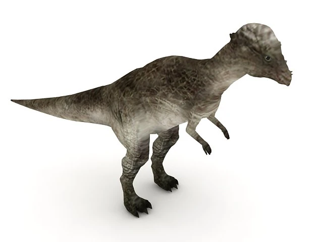 Paquicefalossauro Modelo 3D .c4d .max .obj .3ds .fbx .stl .blend 