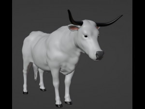 Bull White 3D Model