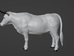 Bull White Modèle 3D