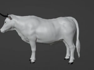 Bull White 3D Model