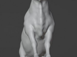 Bull White Modèle 3D