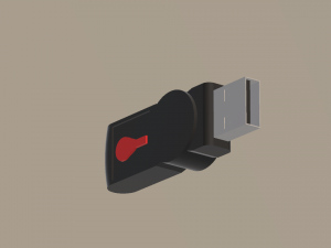 FleshUSB 3D मॉडल