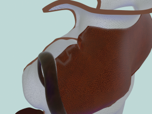 Set medieval fantasy light armor 3D Model