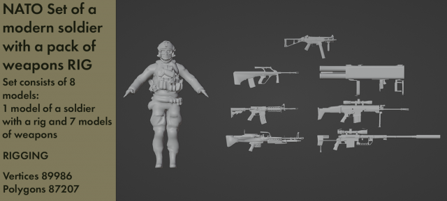 NATO Set of a modern soldier with a pack of weapons RIG 3D Model .c4d .max .obj .3ds .fbx .stl .blend 