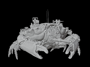 BIOTANK CRAB 3Dモデル