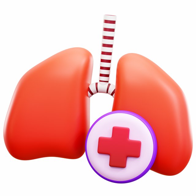 Lungs 3D Model .c4d .max .obj .3ds .fbx .stl .blend 