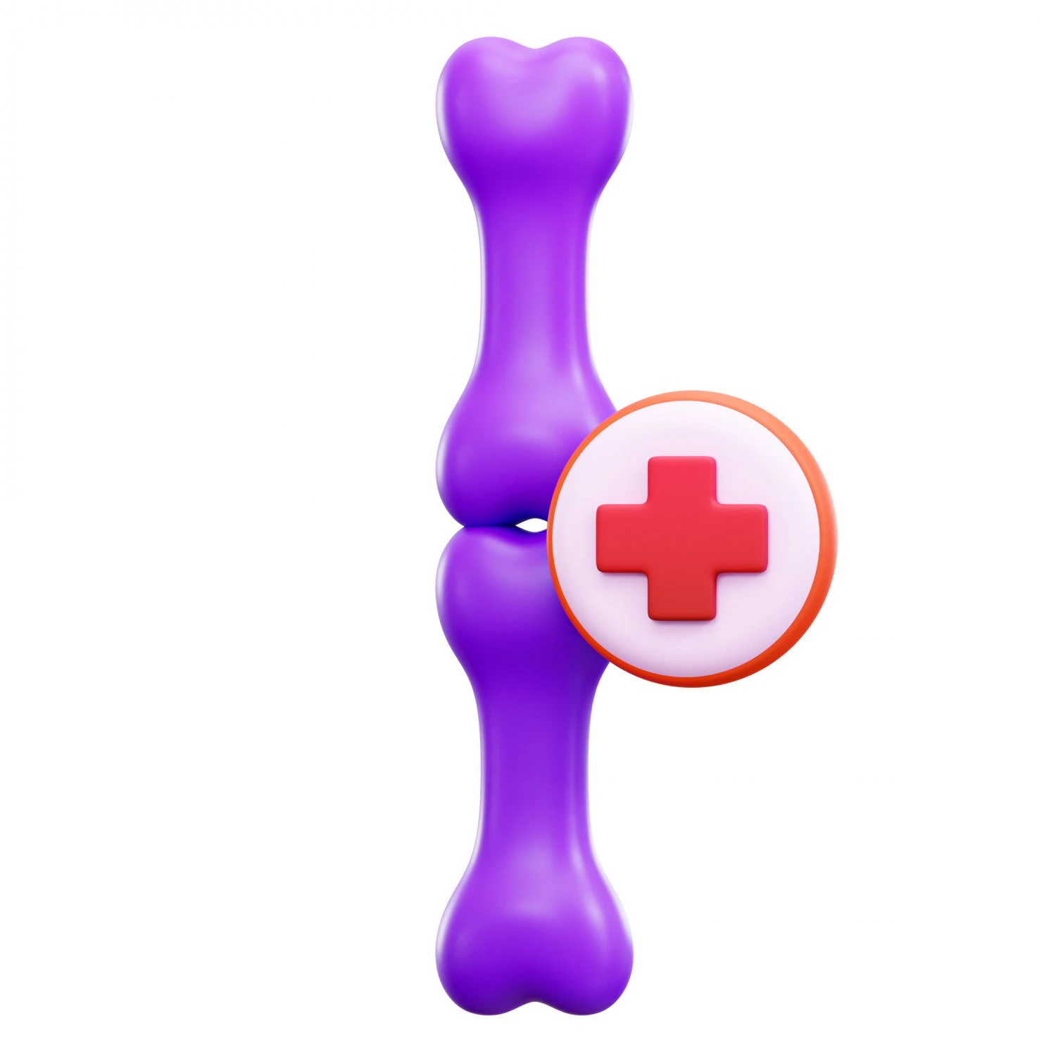 Join Bone 3D Model .c4d .max .obj .3ds .fbx .stl .blend