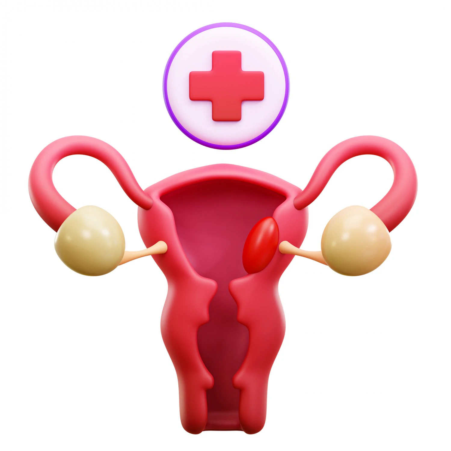 Cervical Cancer 3D Model .c4d .max .obj .3ds .fbx .stl .blend 