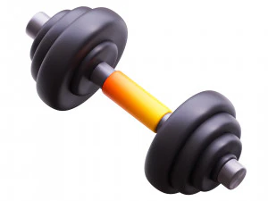 Riding Gym Cycle Icon Pack 3D Model