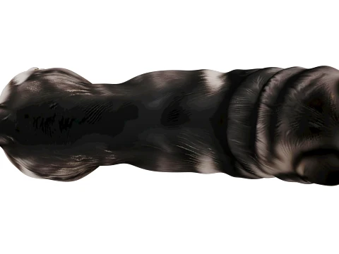 Siberian Husky 3D Model