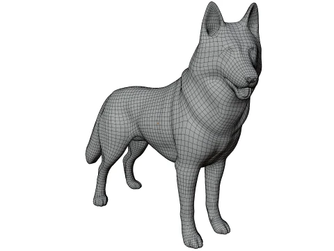 Siberian Husky 3D Model