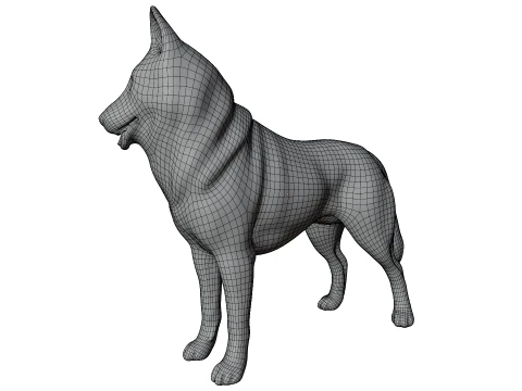 Siberian Husky 3D Model