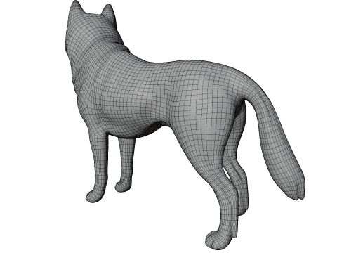 Siberian Husky 3D Model