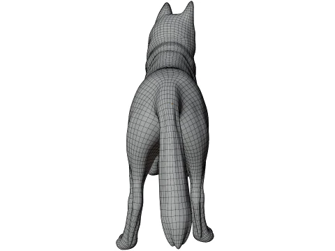 Siberian Husky 3D Model