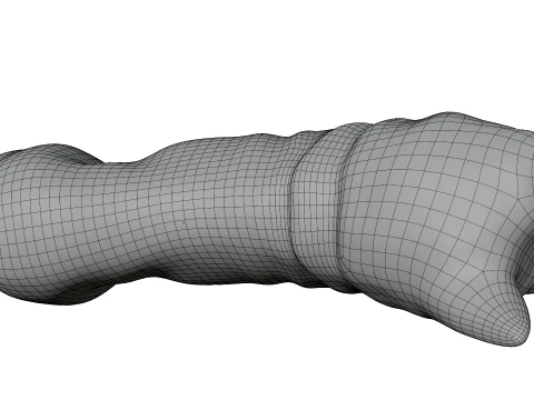 Siberian Husky 3D Model
