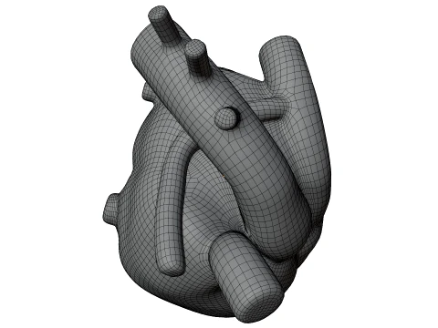 Human Heart 3D Model