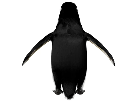 Penguin 3D Model