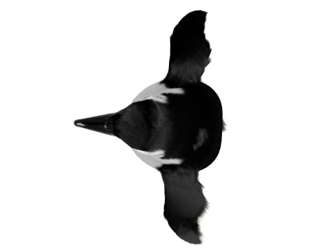 Penguin 3D Model
