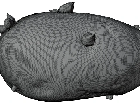 Potato 3D Model