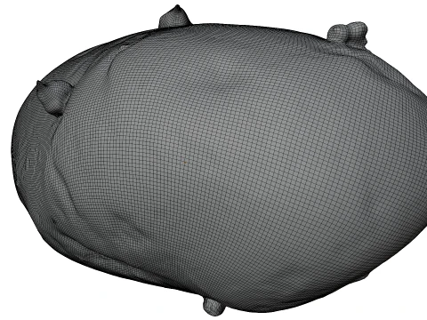Potato 3D Model