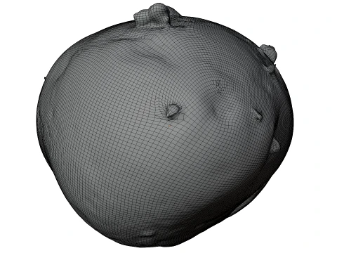 Potato 3D Model