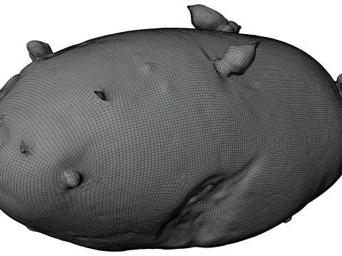 Potato 3D Model