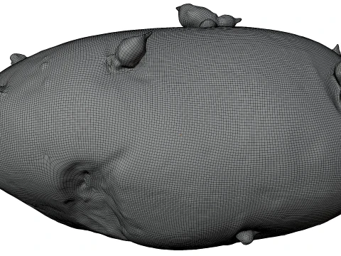 Potato 3D Model