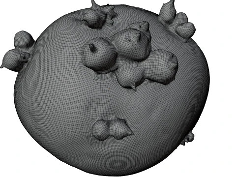 Potato 3D Model