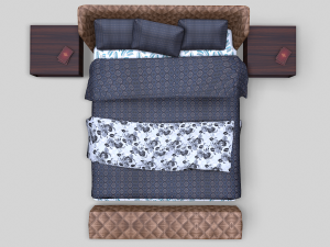 The Kip 3D Model