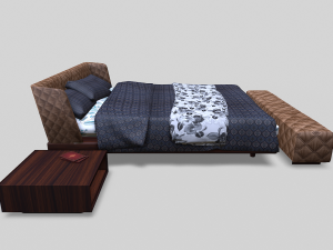 The Kip 3D Model