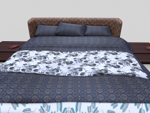 The Kip 3D Model