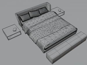 The Kip 3D Model