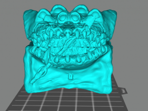 Chest in the form of a mimic chest 3D Print Model