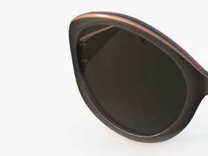 Sunglasses 3D Model