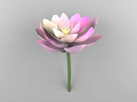 цветок лотоса 3D Модель