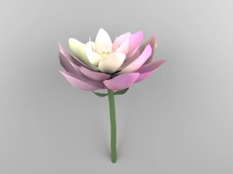 Lotusflower 3D Model