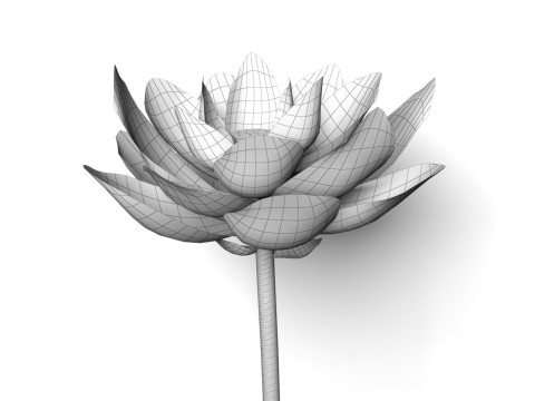Lotusflower 3D-Modell
