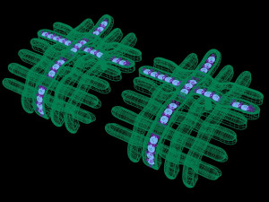 Designer Stud Checkered 3D 模型