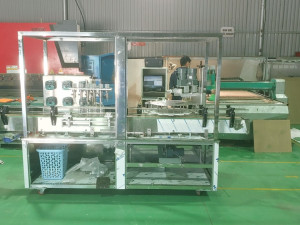 Automatic Filling And Capping Machine 3D Model