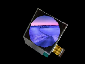 248 320x320 Redondo 12 en punto TFT -RGB SPI Modelo 3D