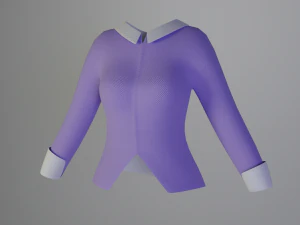 Женская рубашка 3D Модель