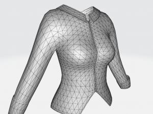 Female Shirt 3D Model