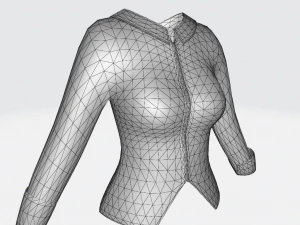 Female Shirt 3D Model