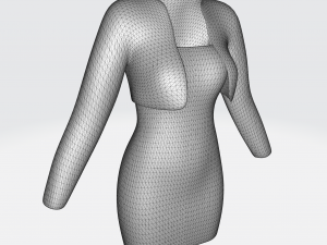 Jacket and short dress 3D Model