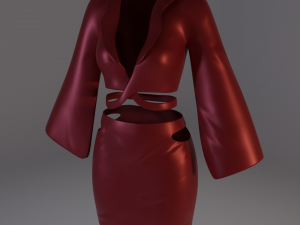 A jacket with a skirt Modelo 3D