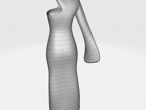 Long dress with one long sleeve Modèle 3D