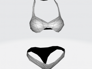 Simple female swimsuit 3D 모델