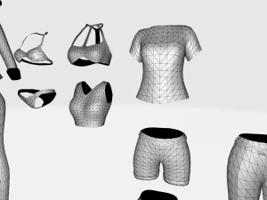 Female clothes pack 3D Model